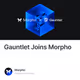 Gauntlet Joins Morpho