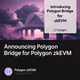 Announcing Polygon Bridge for Polygon zkEVM