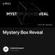 Mystery Box Reveal
