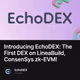 Introducing EchoDEX: The First DEX on LineaBuild, ConsenSys zk-EVM!