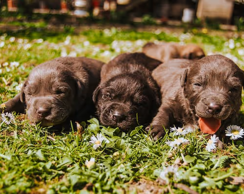 0xed2c5f71a5a0e3bd2269c1ce87972b617141659d