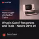 What is Cairo Resources and Tools  Nostra Devs 01