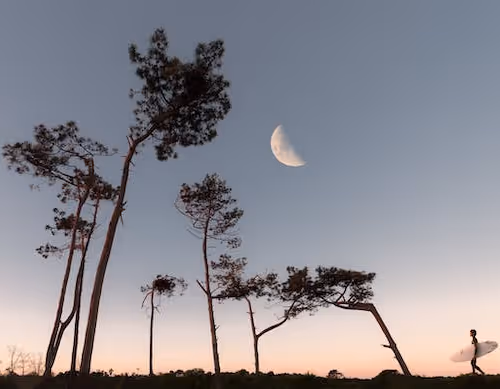 0xae457bf9fe6ab025c53c2447504be4f798a399e9