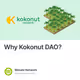 Why Kokonut DAO?