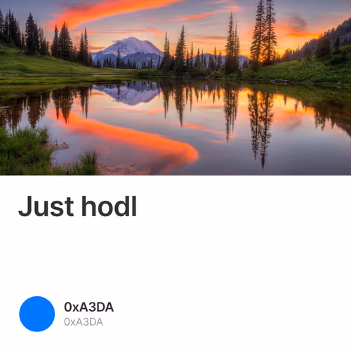 Just hodl