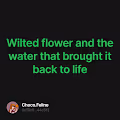 Wilted flower and the water that brought it back to life