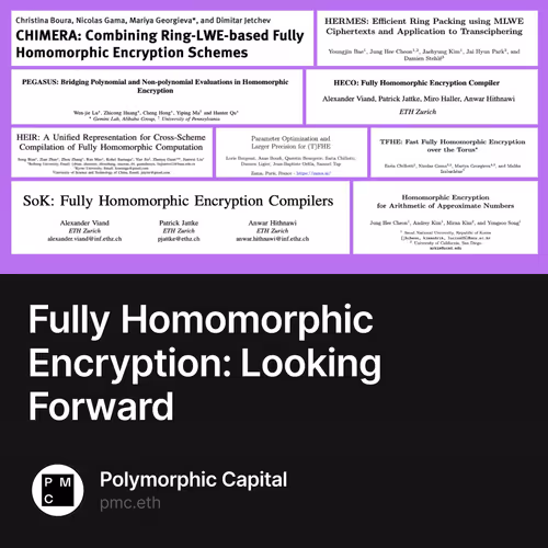 Fully Homomorphic Encryption: Looking Forward