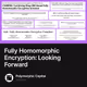 Fully Homomorphic Encryption: Looking Forward