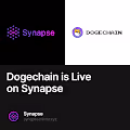 Dogechain is Live on Synapse