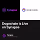 Dogechain is Live on Synapse