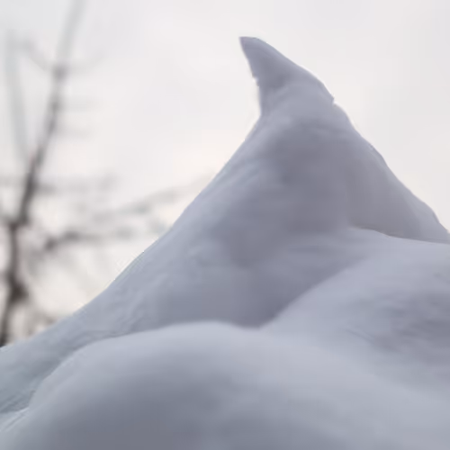 Snow Covered