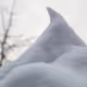 Snow Covered