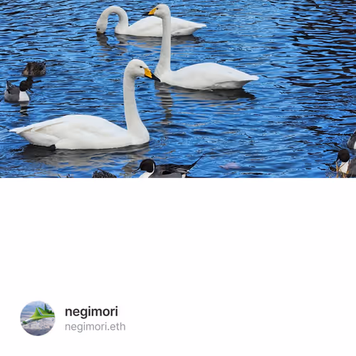 Unidentified contract 02a968b5-5fb7-4322-b8e1-d253dbb180ab