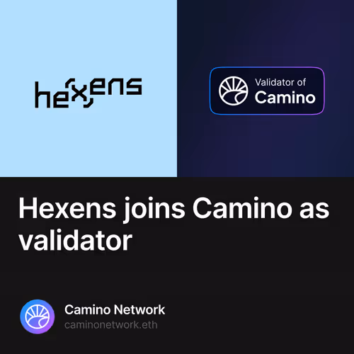Hexens joins Camino as validator
