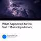 What happened to the Voltz:Mass liquidation