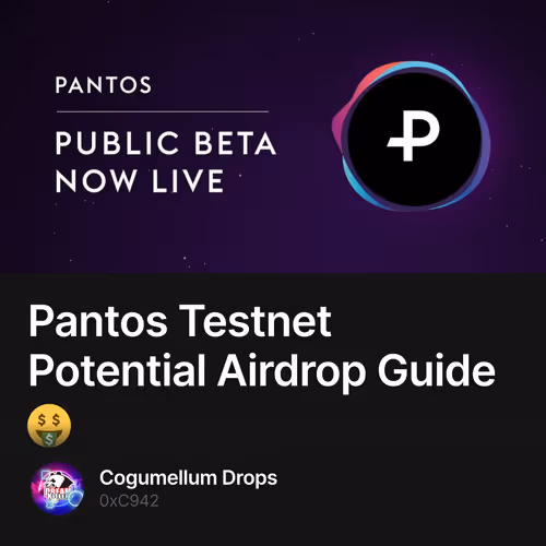 Pantos Testnet Potential Airdrop Guide🤑