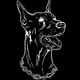 DOGS ONCHAIN