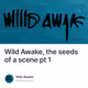 Wild Awake, the seeds of a scene pt 1