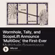 Wormhole, Tally, and ScopeLift Announce ‘MultiGov,’ the First-Ever Multichain Governance S