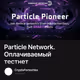 Particle Network. Оплачиваемый тестнет