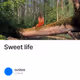 Sweet life