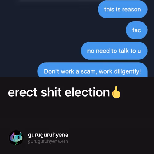 erect shit election🖕