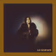 Lo Barnes - Never Hurt Again