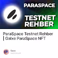 ParaSpace Testnet Rehber | Galxe ParaSpace NFT