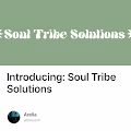 Introducing: Soul Tribe Solutions