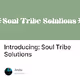 Introducing: Soul Tribe Solutions