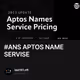 #ANS APTOS NAME SERVISE