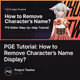PGE Tutorial: How to Remove Character’s Name Display?