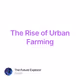 The Rise of Urban Farming