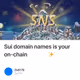 Sui domain names is your on-chain identity✨
