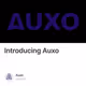 Introducing Auxo