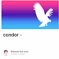 condor 任务七教程-搬运工人
