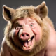 Man Bear Pig