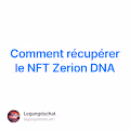 Comment rcuprer le NFT Zerion DNA