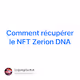 Comment rcuprer le NFT Zerion DNA