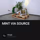MINT VIA SOURCE