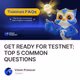 GET READY FOR TESTNET: TOP 5 COMMON QUESTIONS