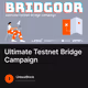 Ultimate Testnet Bridge Campaign