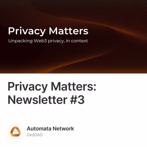 Privacy Matters: Newsletter #3