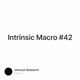 Intrinsic Macro #42