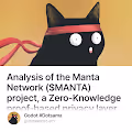 Analysis of the Manta Network MANTA project a Zero-Knowledge proof-based privacy layer sma