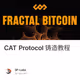 CAT Protocol 铸造教程