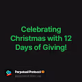 Celebrating Christmas with 12 Days of Giving!