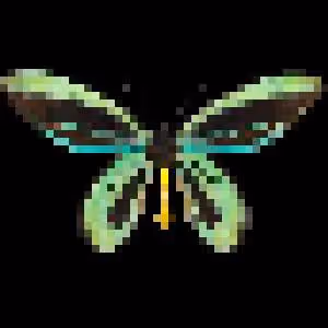 P-insect on Optimism