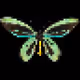 P-insect on Optimism