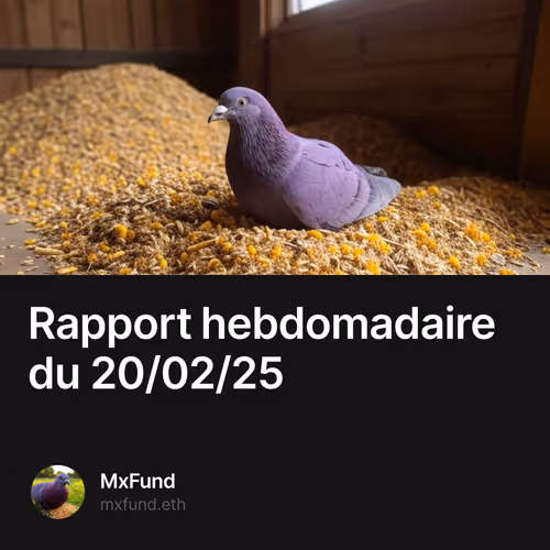 Rapport hebdomadaire du 20/02/25